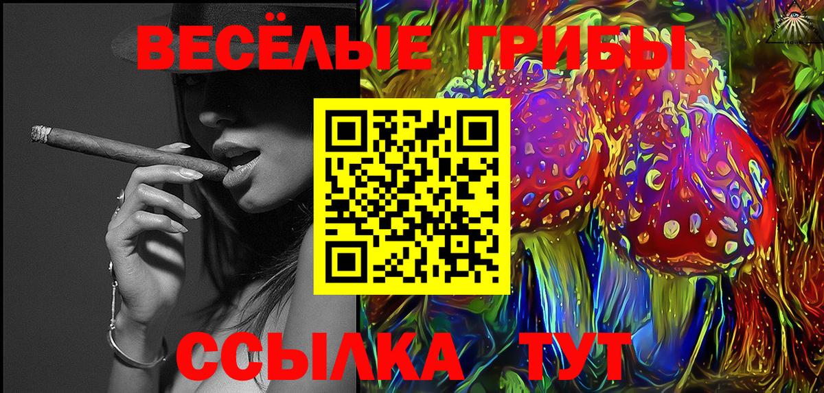 Псилоцибиновые грибы Cubensis Пермь